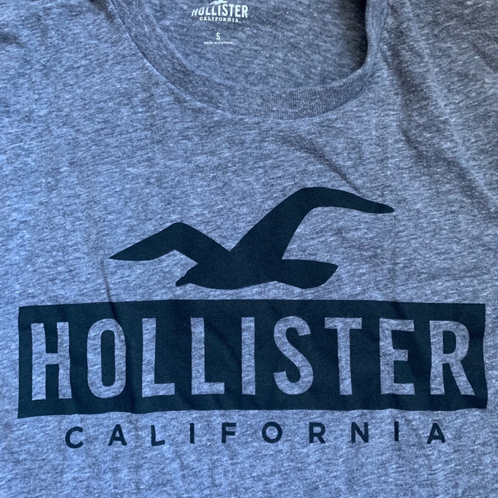 Hollister tee